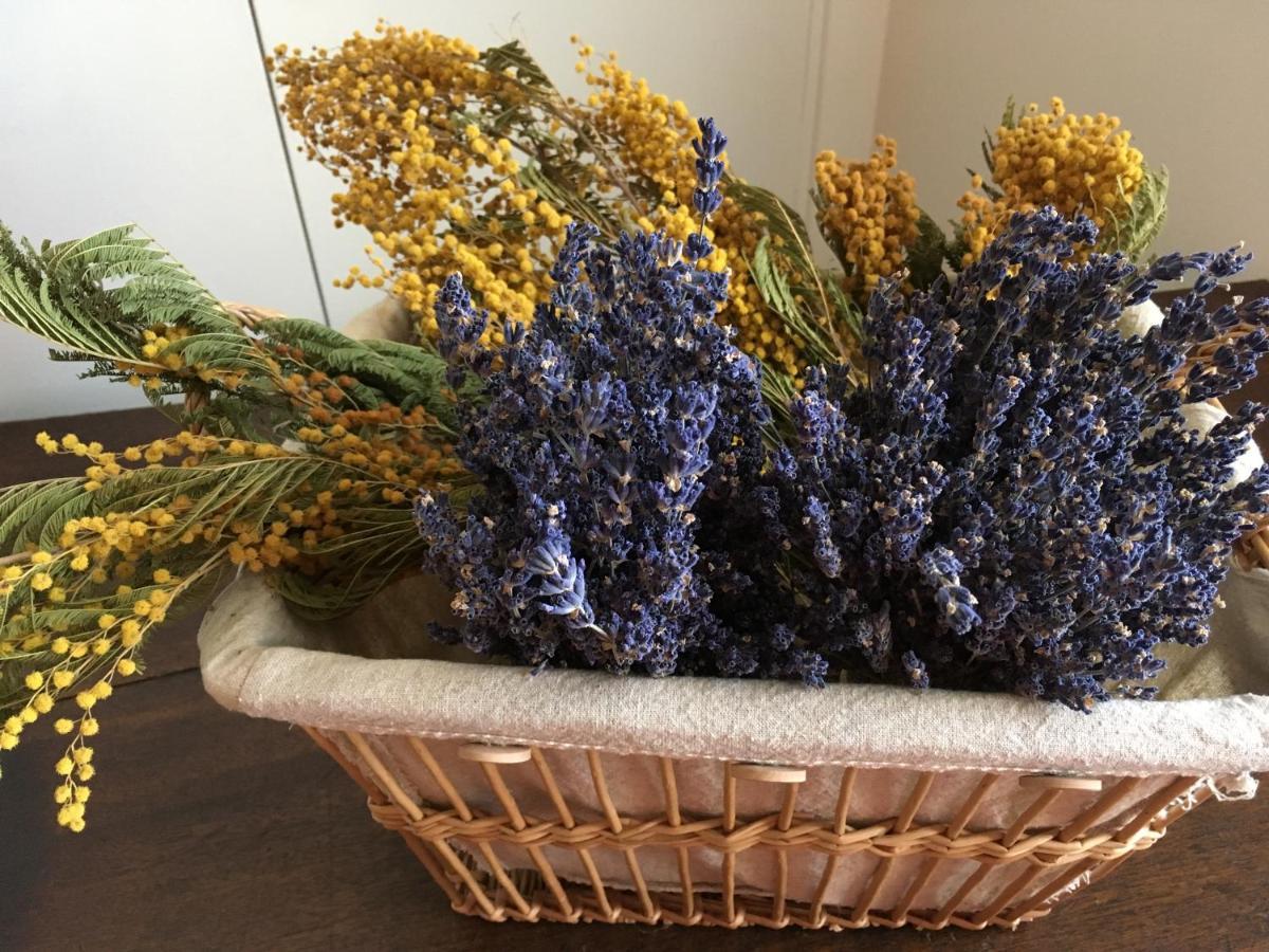 Mas Halcyon Provence Bed & Breakfast Avignon Ngoại thất bức ảnh